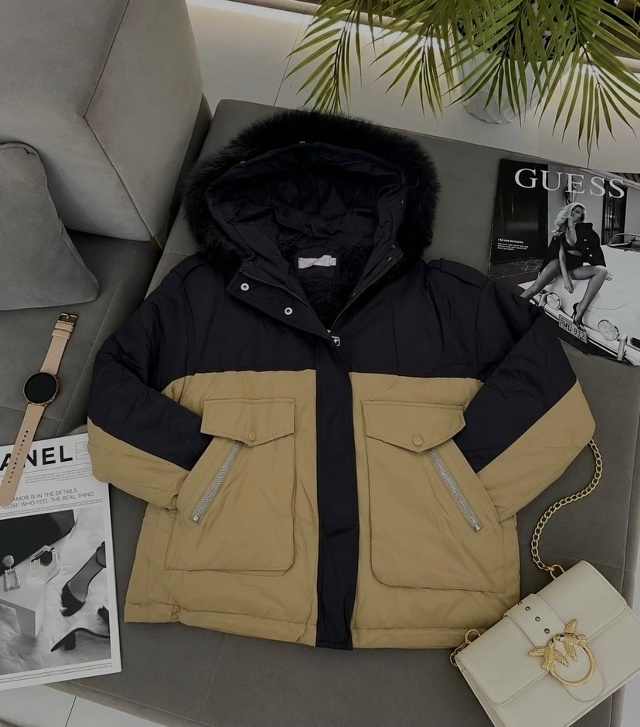 transparent