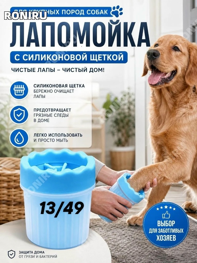 transparent