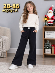 Штаны 1710002