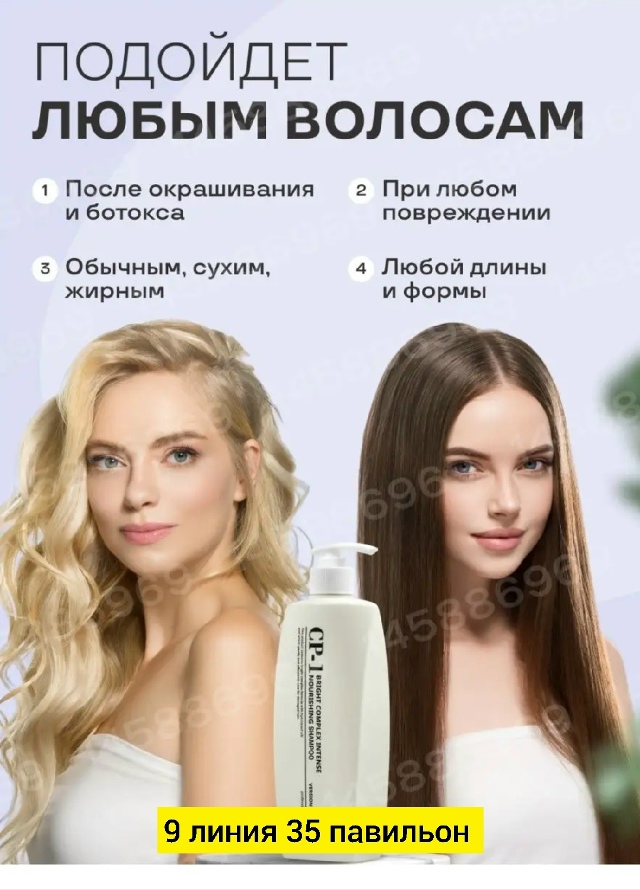 transparent