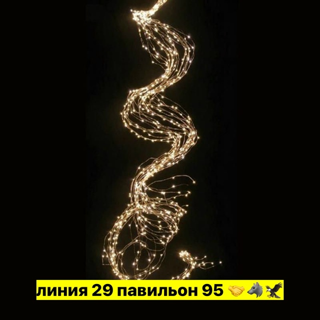 transparent