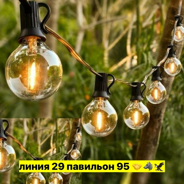 transparent