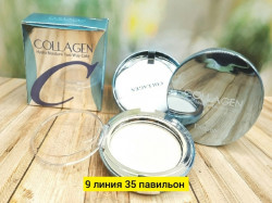 Пудра 1729046