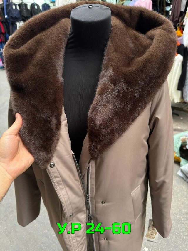 transparent