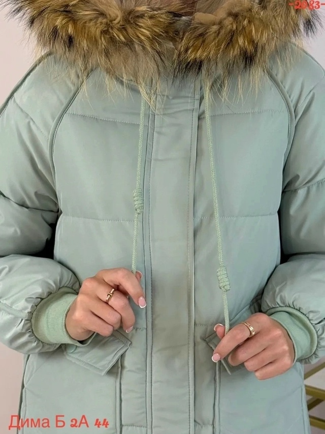 transparent