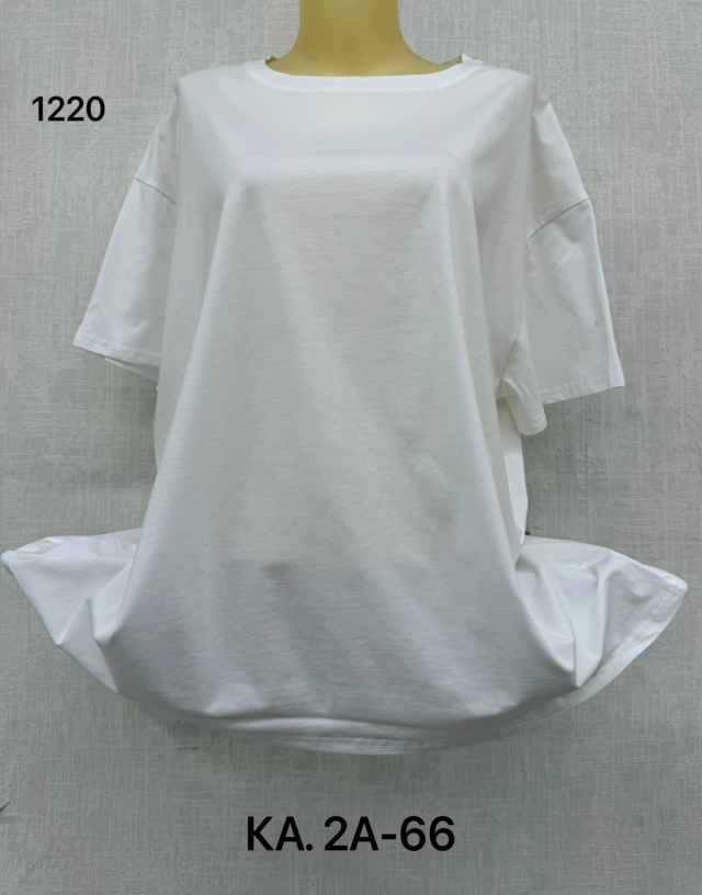transparent