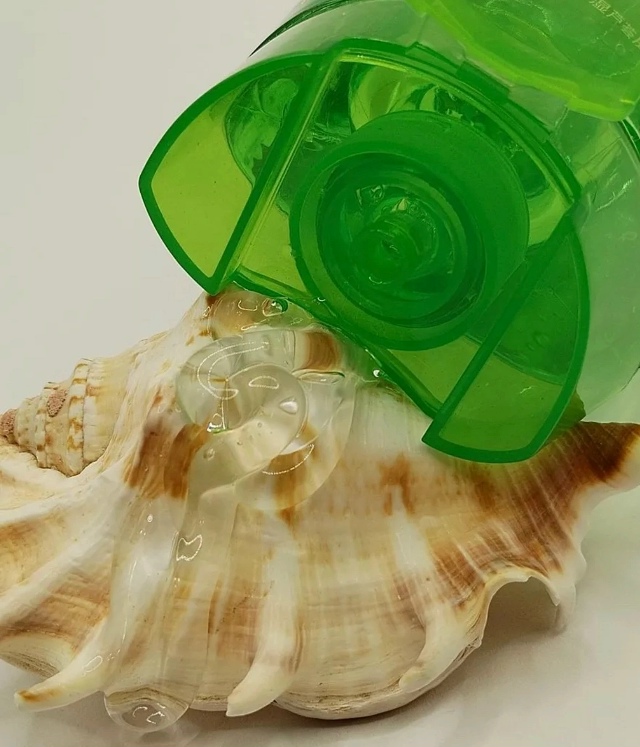 transparent