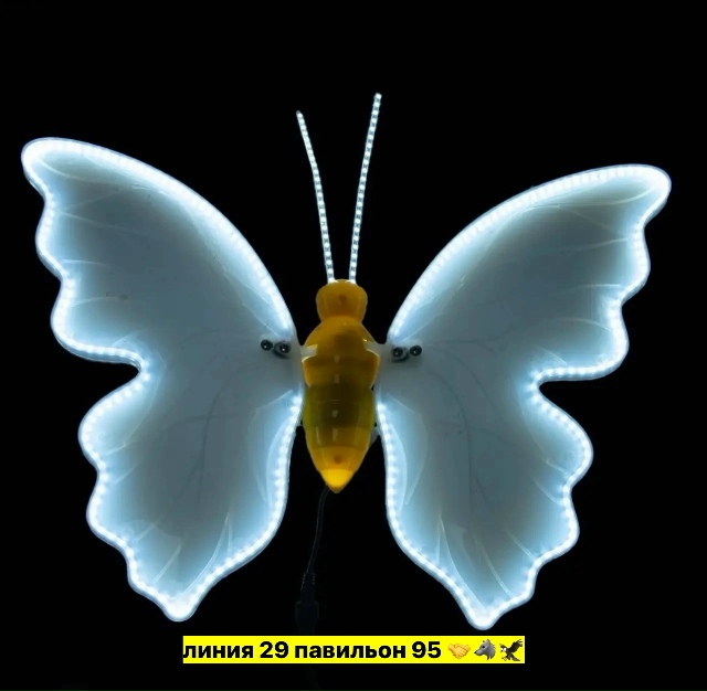 transparent