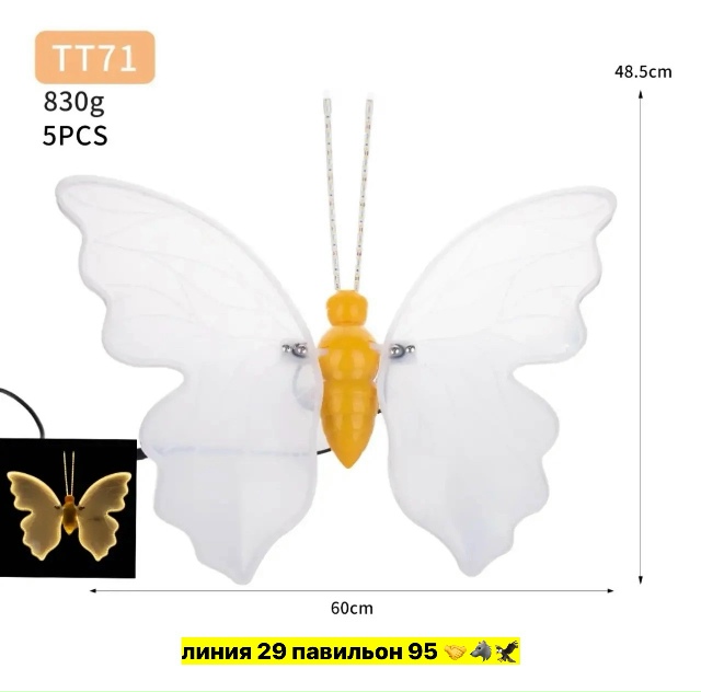 transparent