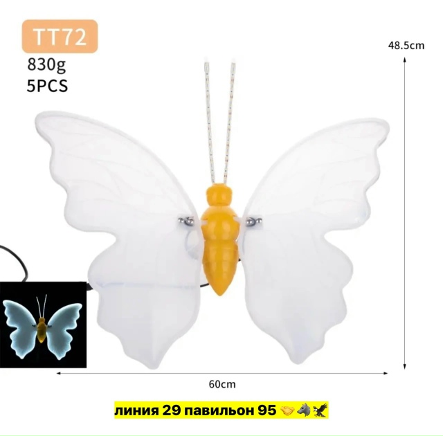 transparent