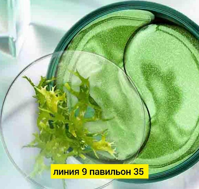 transparent