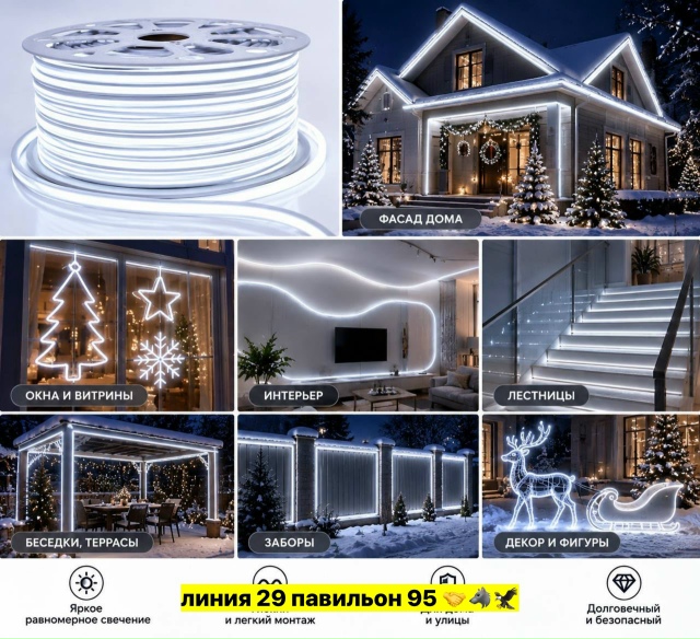 transparent