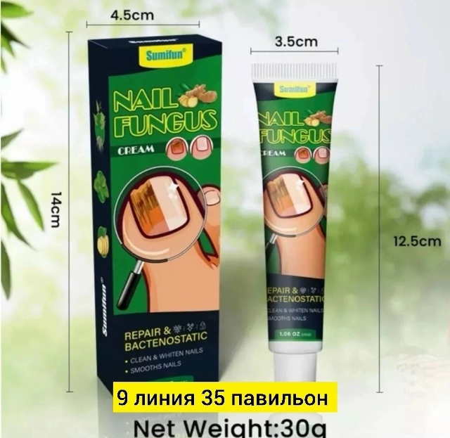 transparent