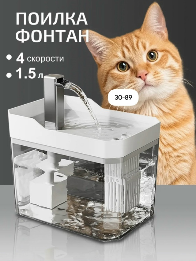 transparent