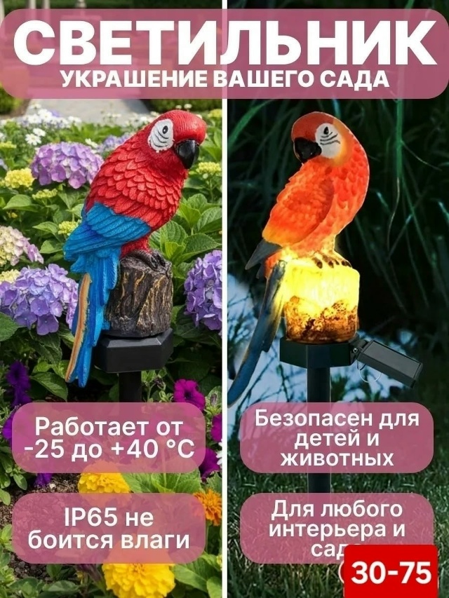 transparent