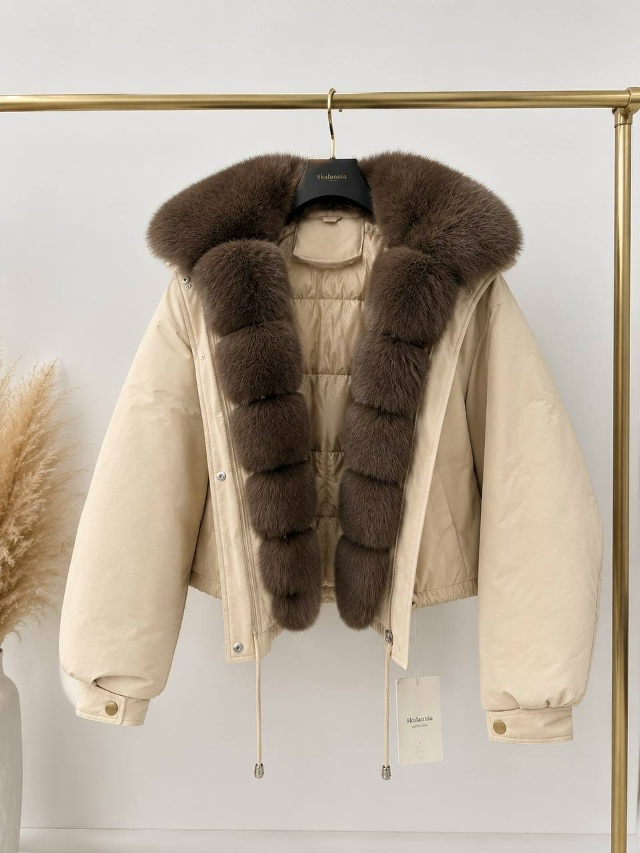 transparent