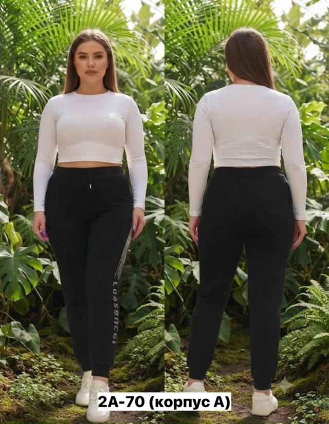 transparent