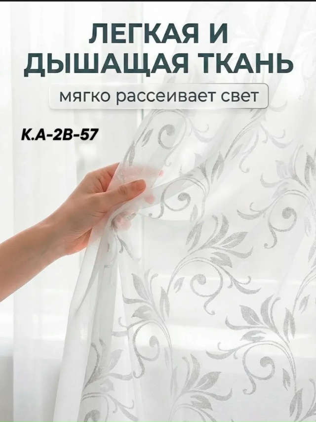 transparent