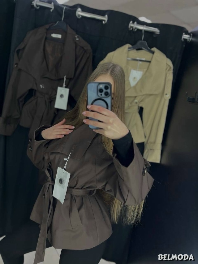 transparent