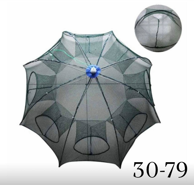 transparent