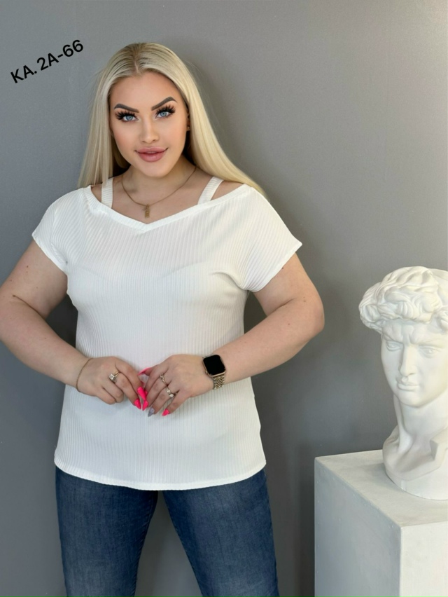 transparent