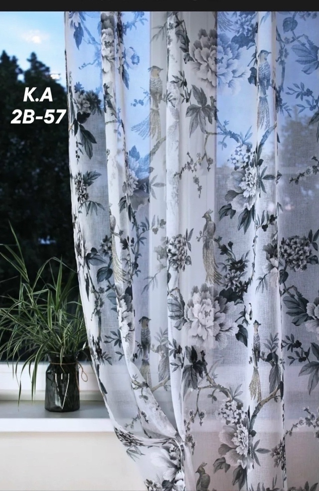 transparent