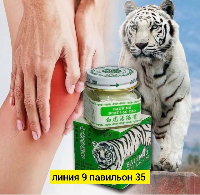 transparent