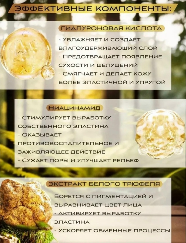 transparent