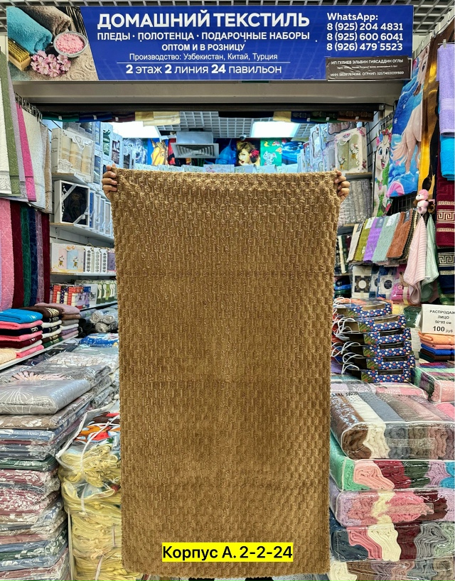 transparent