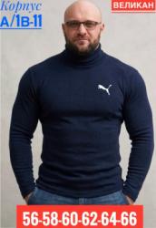 Водолазка 1749944