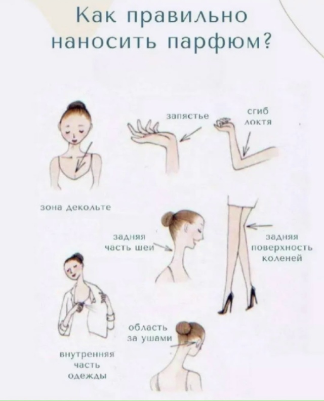transparent