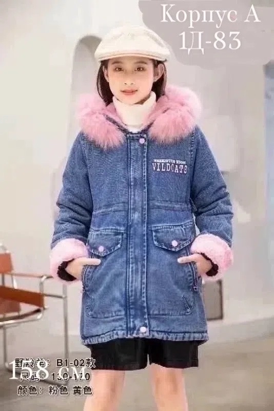 transparent