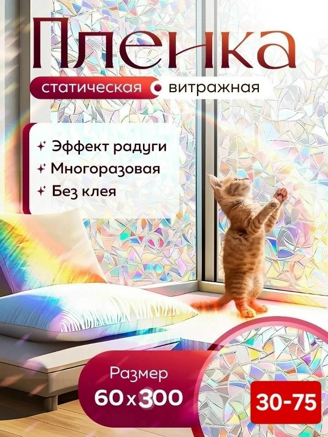 transparent