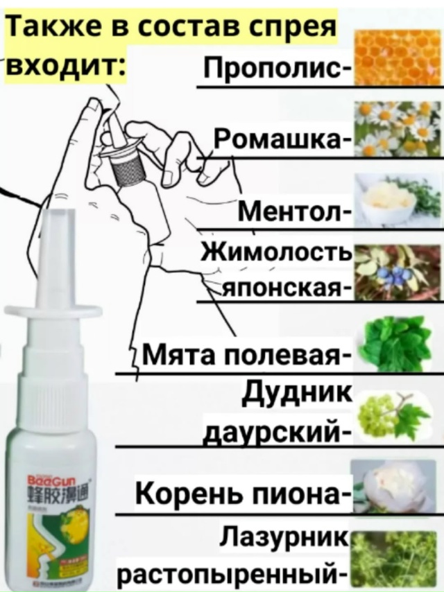 transparent