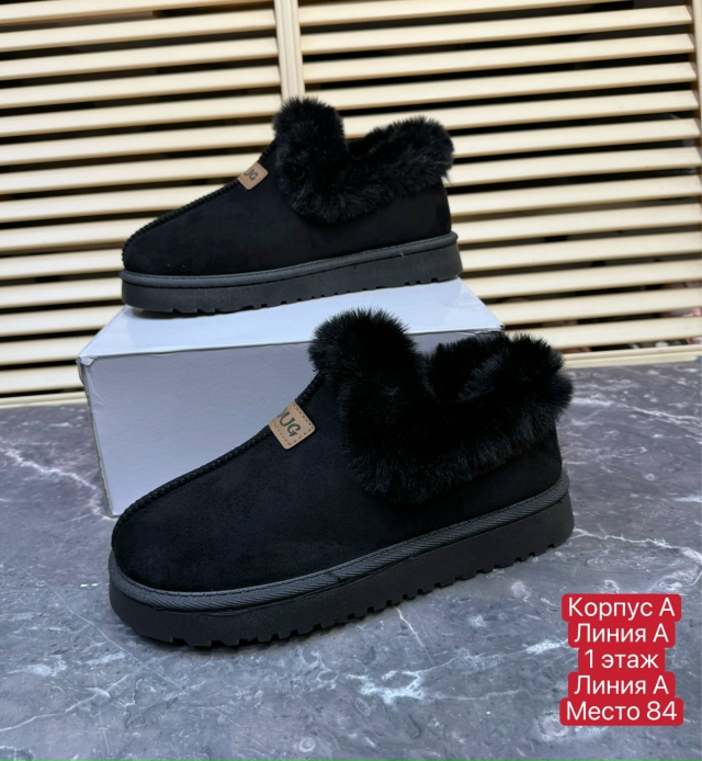 transparent