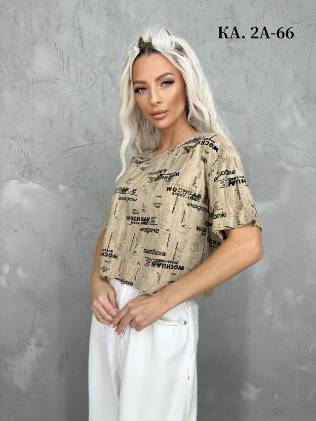 transparent
