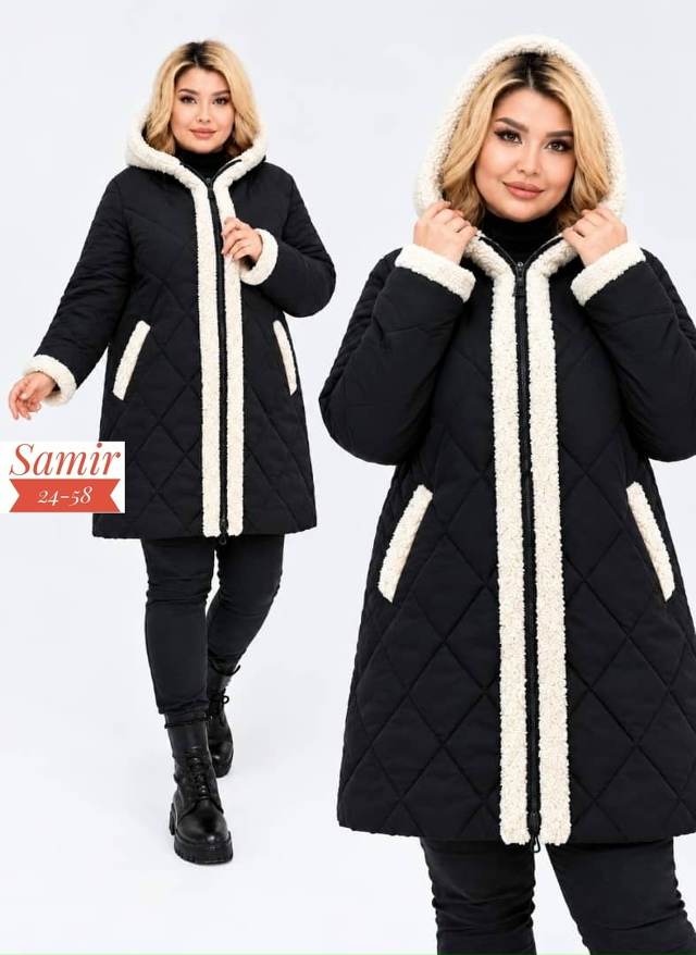 transparent