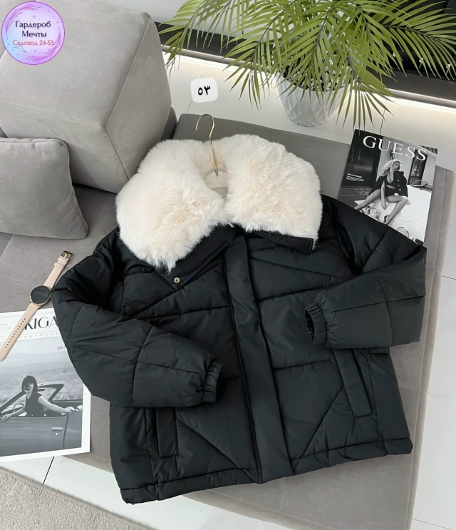 transparent