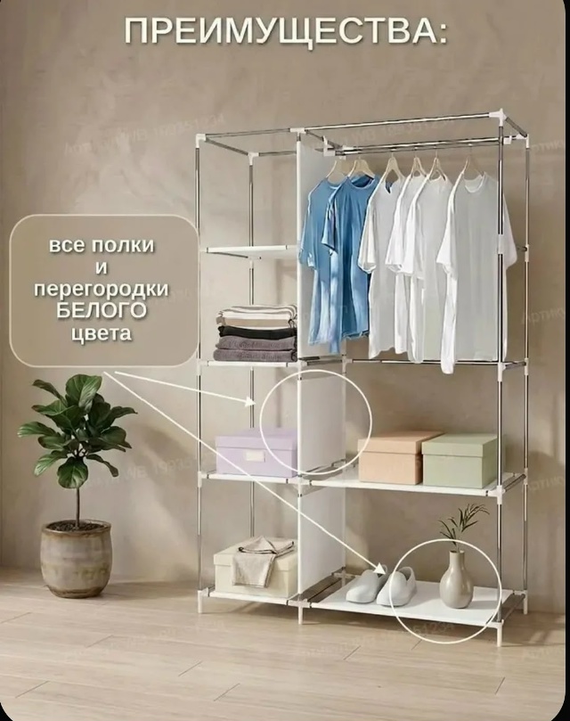 transparent