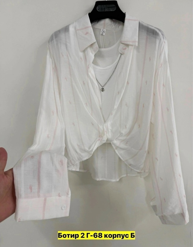 transparent