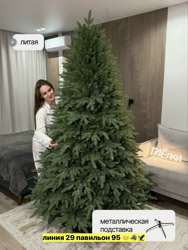 transparent