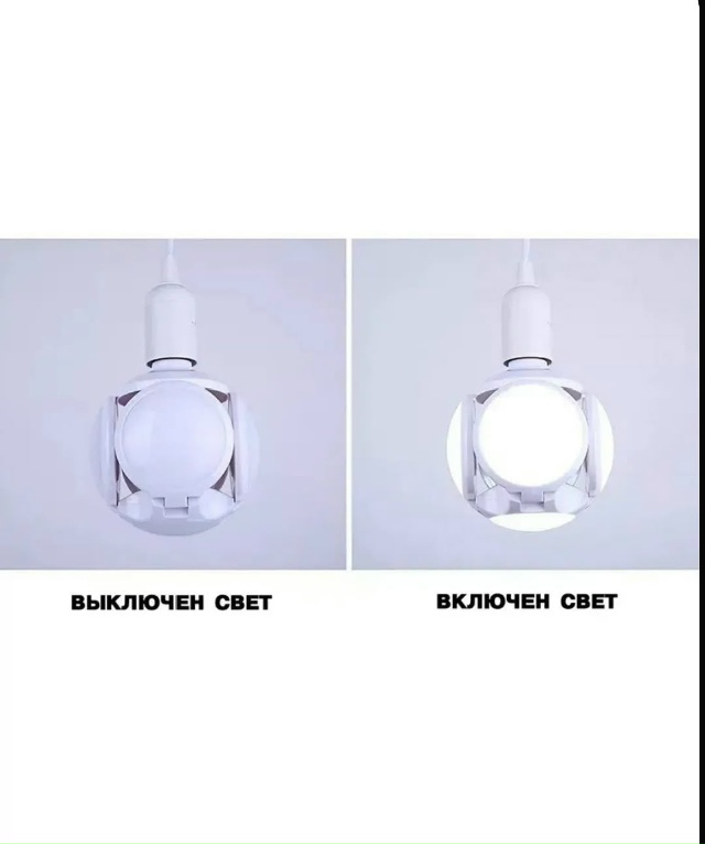 transparent