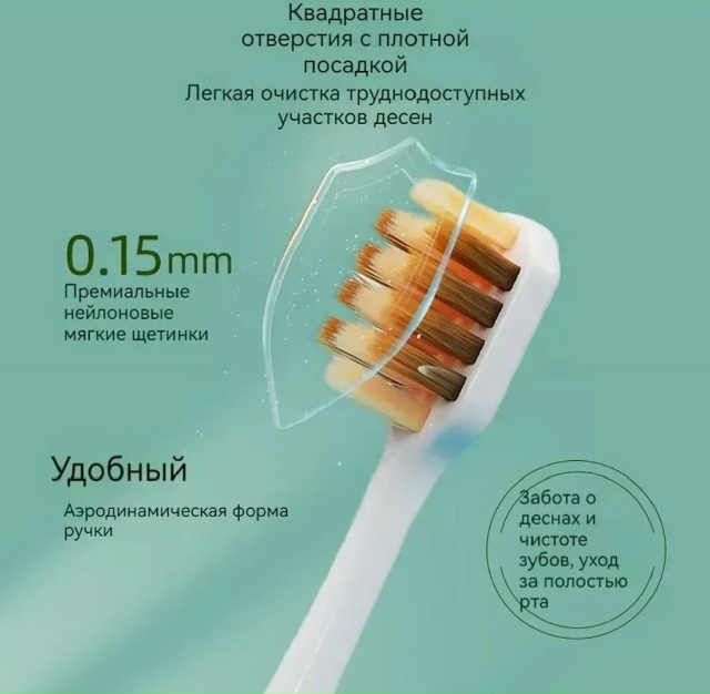 transparent