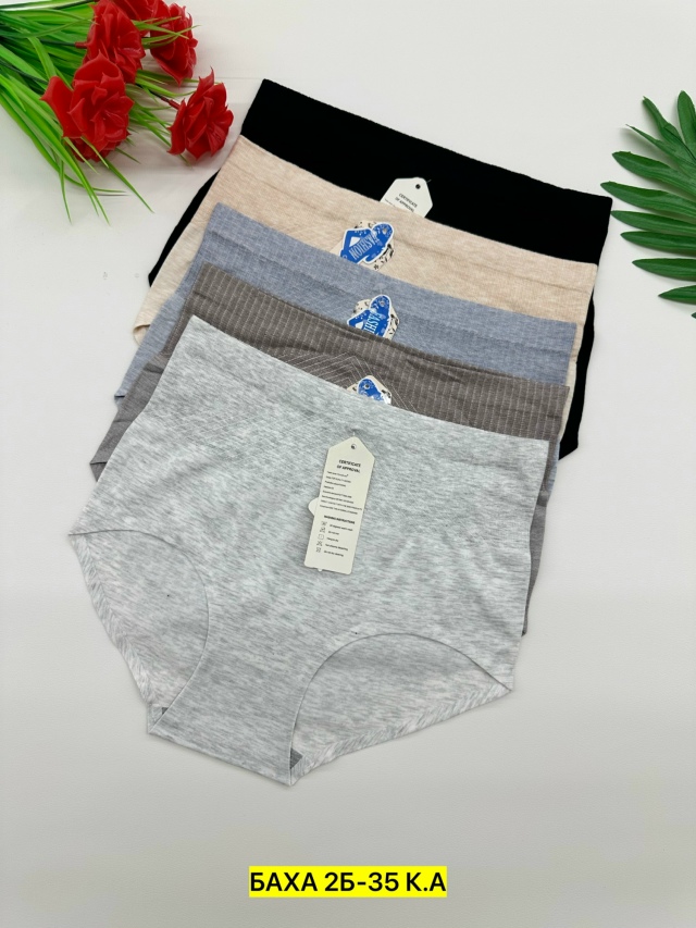 transparent