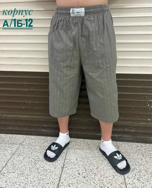Шорты 1734614