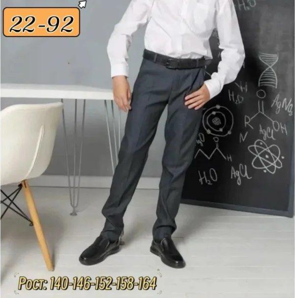 Штаны 1750805