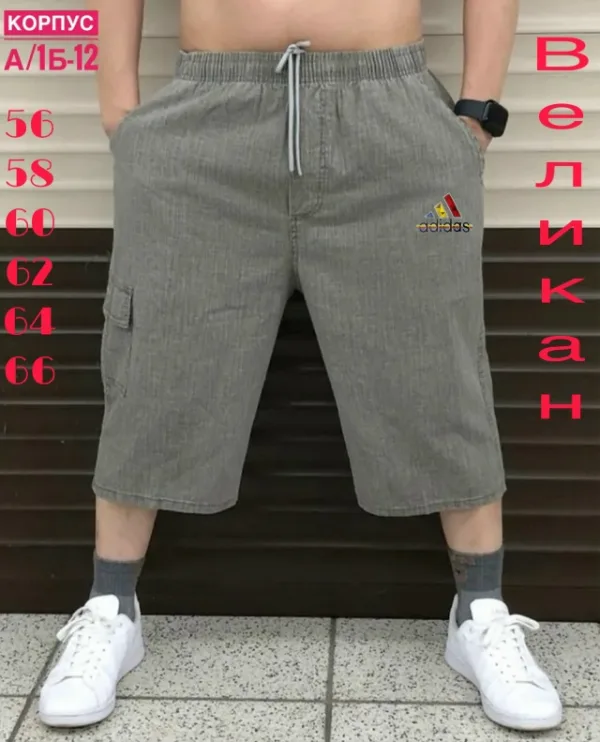 Шорты 1752055