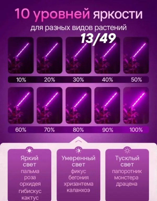 Лампа 1755463